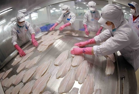 Việt Nam urges Brazil to remove barriers for seafood to this market