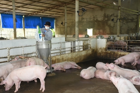 Việt Nam-US Comprehensive Strategic Partnership to serve husbandry sector well