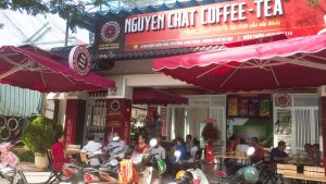 Thị trường kinh doanh cafe hiện nay