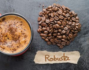 CÁCH NHẬN BIẾT HƯƠNG VỊ CÀ PHÊ ROBUSTA NGUYÊN CHẤT