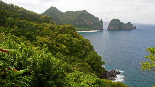 American Samoa splits delegates in Democratic caucuses between Biden, Jason Palmer