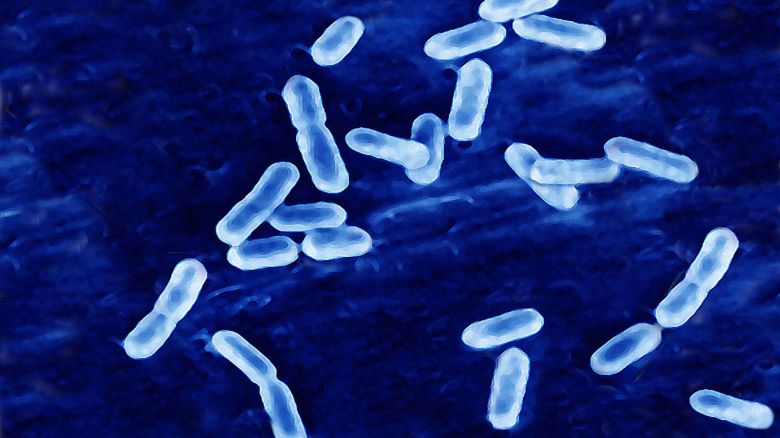 Cảnh báo Listeria được đưa ra sau ba trường hợp tử vong liên quan đến máy làm kem bị ô nhiễm