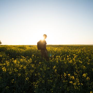 Làm thế nào để tạo ra một thói quen đi bộ lưu tâm