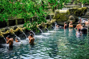 10 hoạt động giải trí hàng đầu khi du lịch ở Ubud Bali