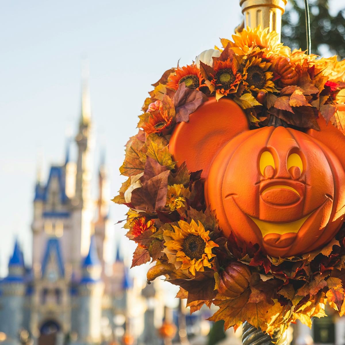 Cửa hàng Disney giờ đang bán Halloween Viral Name