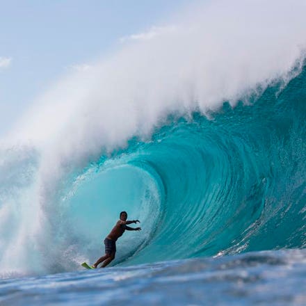 "Những hành khách của Hiệp sĩ vùng Caribbean và Pro Surfer bị giết By Shark in Hawaii: Những gì chúng ta biết