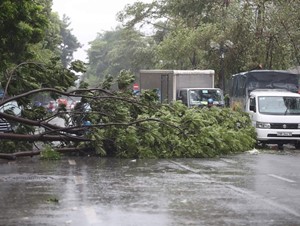 Chiều tối và đêm 7/9 là thời điểm bão Yagi mạnh nhất, người dân tuyệt đối không ra đường