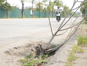 Hà Nội: Mất hàng loạt nắp cống trên đường Hoàng Sa