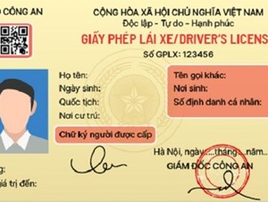 Thu hồi giấy phép lái xe nếu cho người khác mượn từ 1/6