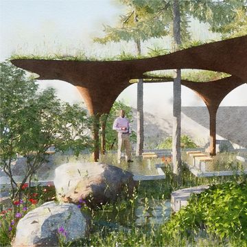 Xu hướng cao nhất từ đài phun nước RHS Chelsea show 2024