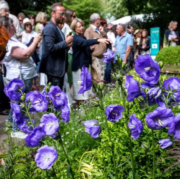 Làm thế nào để có được Chelsea Flower show vé