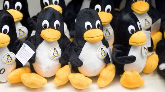 Linux là gì và tại sao nó lại phổ biến đến vậy?