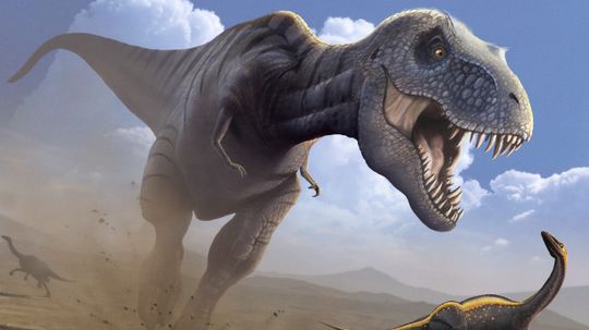 Bạn thực sự có thể chạy nhanh hơn Tyrannosaurus Rex?