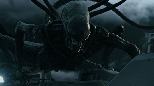 Xenomorph 'Người ngoài hành tinh' hoạt động như thế nào