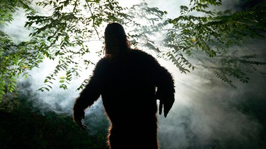 Bigfoot: Tuyên bố về danh tiếng tiền điện tử của Tây Bắc Thái Bình Dương