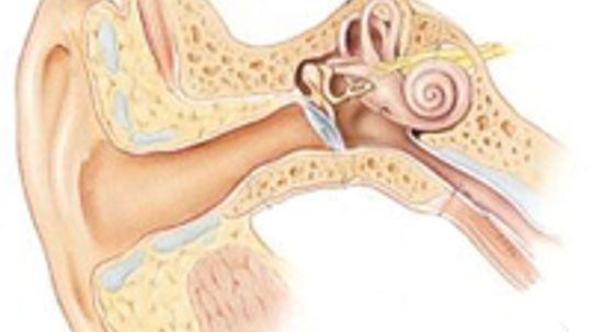 Decibel là gì và nó được đo như thế nào?