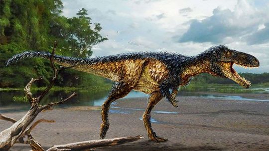 Khám phá về loài khủng long cỡ ngựa làm sáng tỏ sự tiến hóa của T. Rex