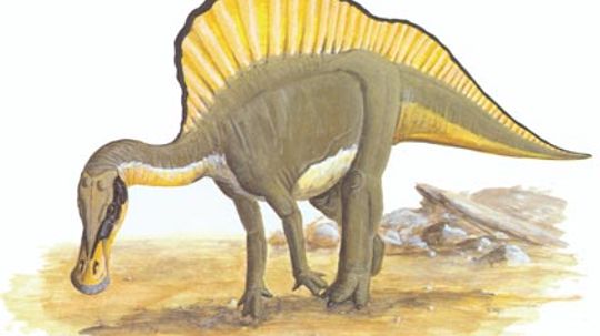 Ouranosaurus