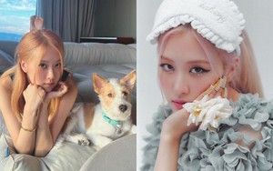 Qua một động thái, YG tự mình xác nhận Rosé là thành viên BLACKPINK duy nhất tái ký?