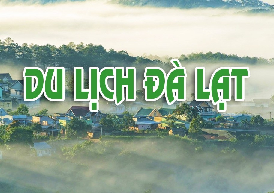 Du Lịch Đà Lạt: Tại Sao Đà Lạt Luôn Là Điểm Đến Hấp Dẫn?