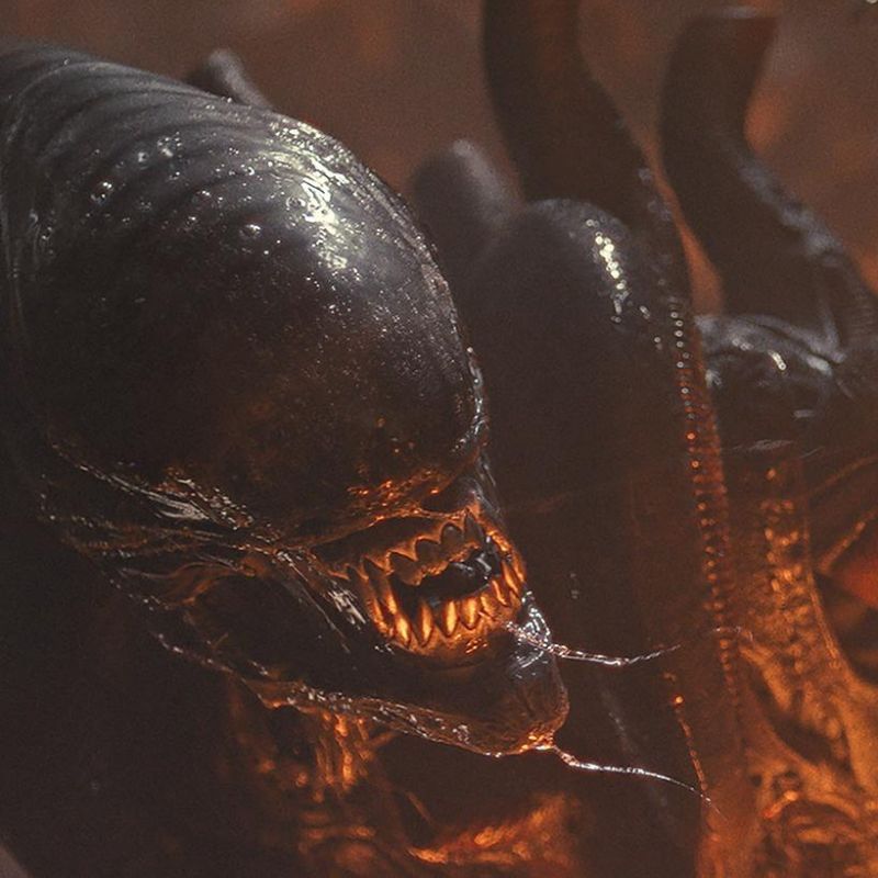 Các tập tin của Xenomorph: