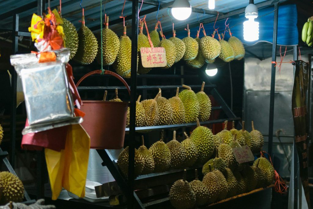 Hướng dẫn viên mùa durian Malaysia: Loại tốt nhất và cách chọn loại tốt nhất