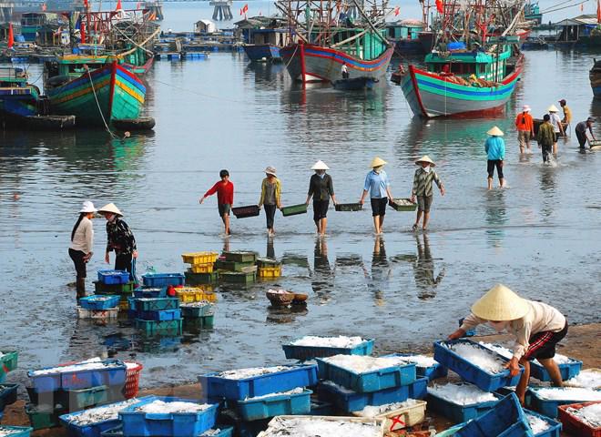 Kích hoạt Chương trình quốc gia bảo vệ và phát triển nguồn lợi thủy sản đến năm 2030