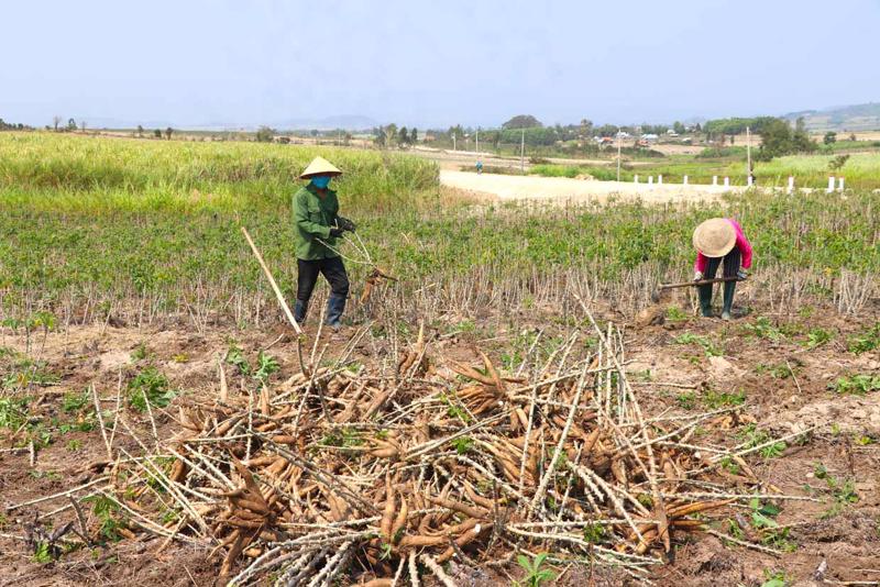 Những “doanh nông” trẻ Việt Nam không ngừng sáng tạo, nâng tầm nông sản địa phương