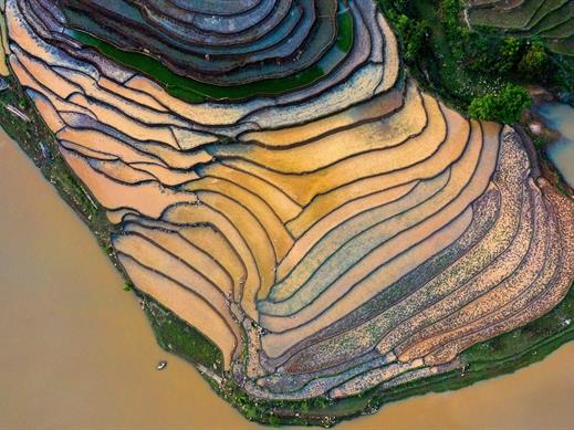 Bát Xát's terraced rice fields come alive in the rainy season