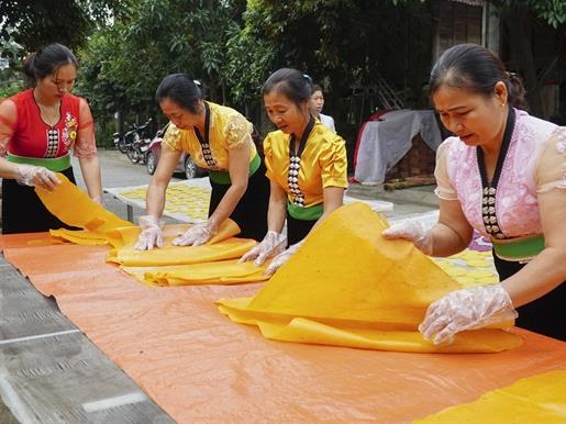 Two cultural elements in Điện Biên Province added to National Intangible Cultural Heritage list.