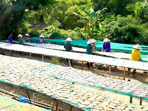 Mekong Delta dried fish making villages busy ahead of Tết