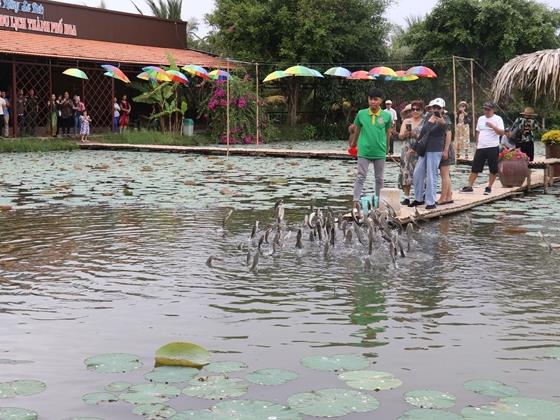 Mekong Delta province promotes agricultural tourism