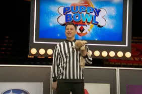 Cách xem Puppy Bowl 2024, bao gồm cả nơi phát trực tuyến sự kiện vào Chủ nhật Super Bowl