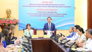 Australia to allow up to 1,000 Vietnamese workers in agricultural sector