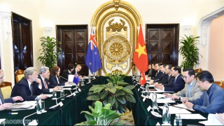 Vietnam and New Zealand seek to achieve US$3 billion trade target