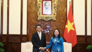 Acting President receives new Japanese Ambassador to Vietnam