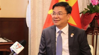 Vietnam - Japan ties live up to extensive strategic partnership: ambassador