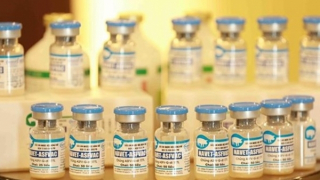 Made-in-Vietnam ASF vaccines to be exported to Philippines, Indonesia