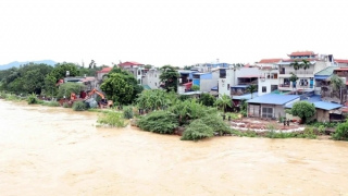 Vietnam, China unite to tackle Red River flooding after Typhoon Yagi