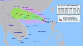 Tropical depression strengthens into Storm Talim