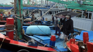 Measures applied to strengthen management of fishing activities in Vietnam