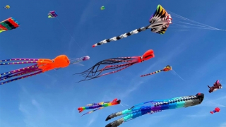 Quang Nam kite international festival 2024 attracts tourists to Hoian