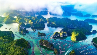 More efforts made to seek world heritage recognition for Ha Long Bay-Cat Ba