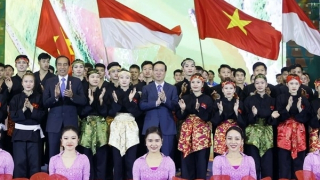 Presidents of Vietnam, Indonesia enjoy martial arts performances