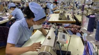 Vietnam, RoK bolster textile cooperation