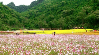 Autumn Festival set to enliven Bac Ha mountains