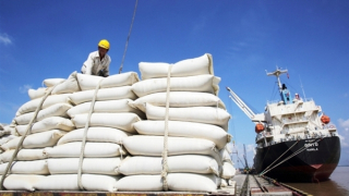 Vietnam exports over 4.48 million tons of rice in seven months