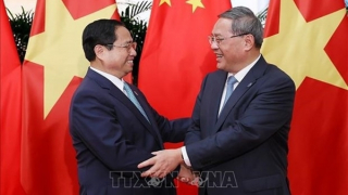 Vietnamese, Chinese PMs hold talks