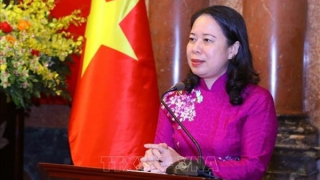 Vietnam, Mozambique see great potential for cooperation: Ambassador