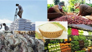 Vietnamese exports gradually show positive signs in remaining months